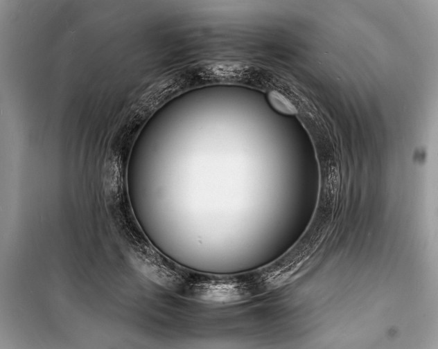 X0000100980651200806241544