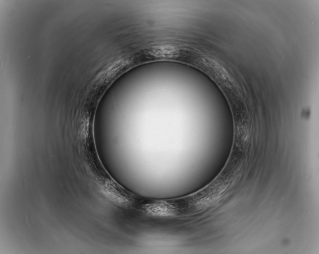 X0000100980652200806241544