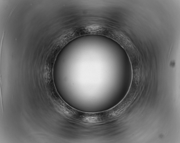 X0000100980653200806241544