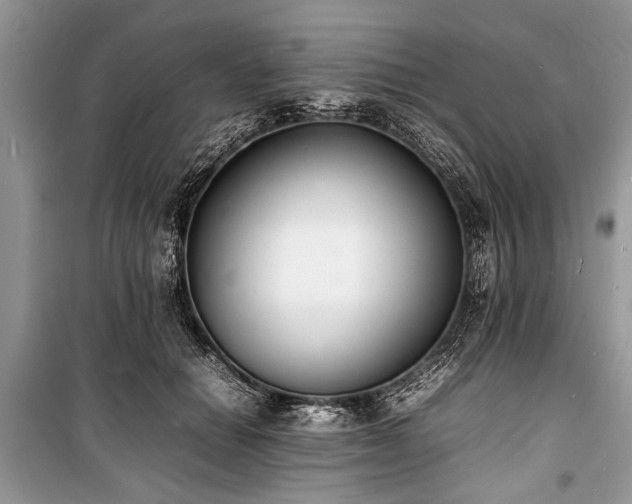 X0000100980654200806241544