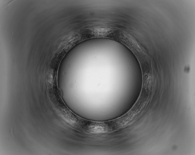 X0000100980655200806241544