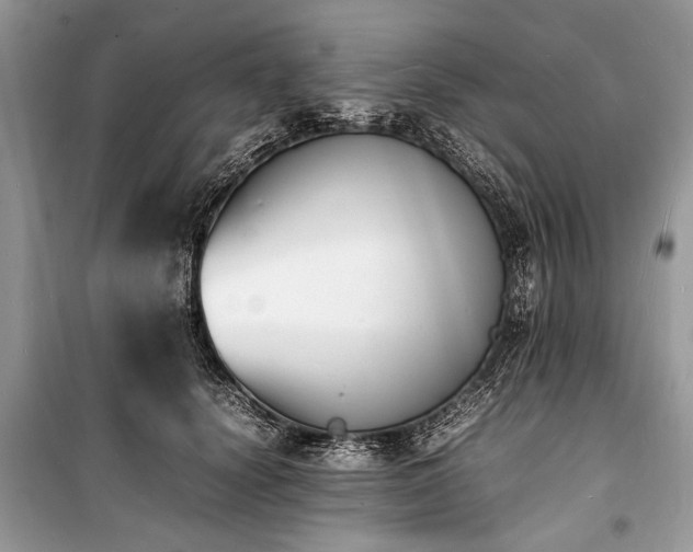 X0000100980656200806241544