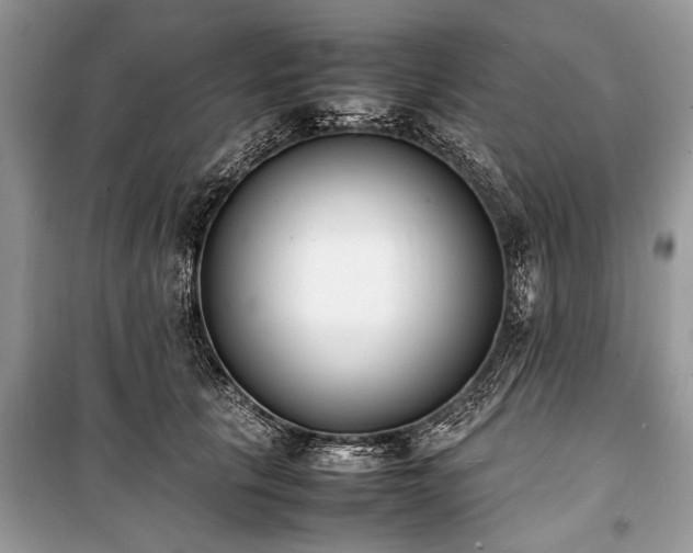 X0000100980657200806241544