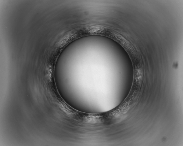 X0000100980664200806241544