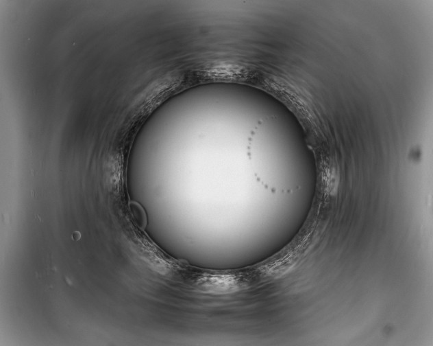 X0000100980665200806241544