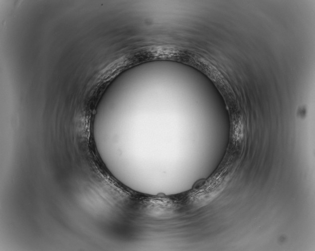 X0000100980666200806241544