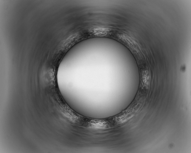 X0000100980667200806241544