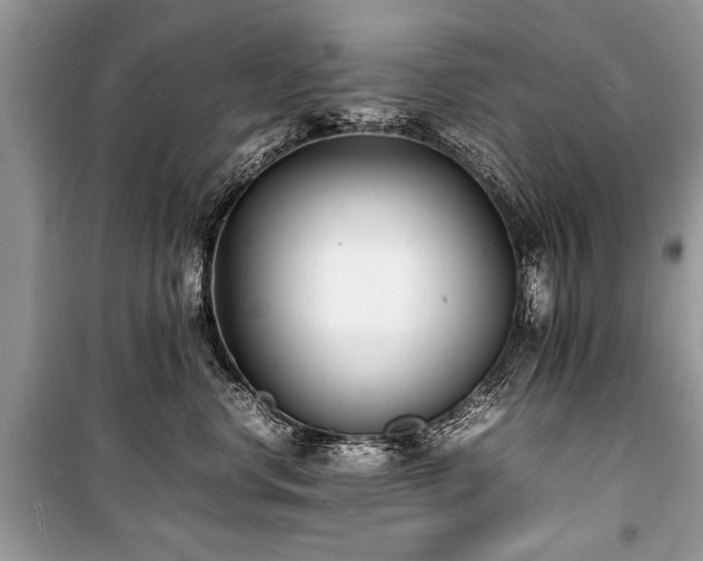 X0000100980668200806241544