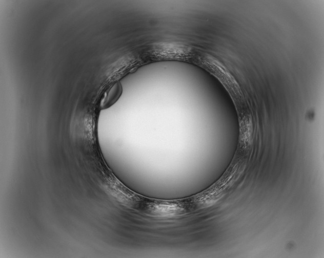 X0000100980669200806241544