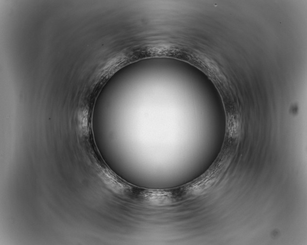 X0000100980670200806241544