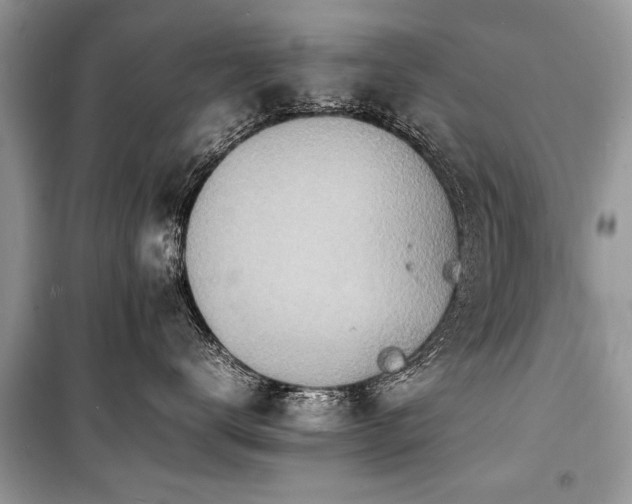 X0000100980672200806241544