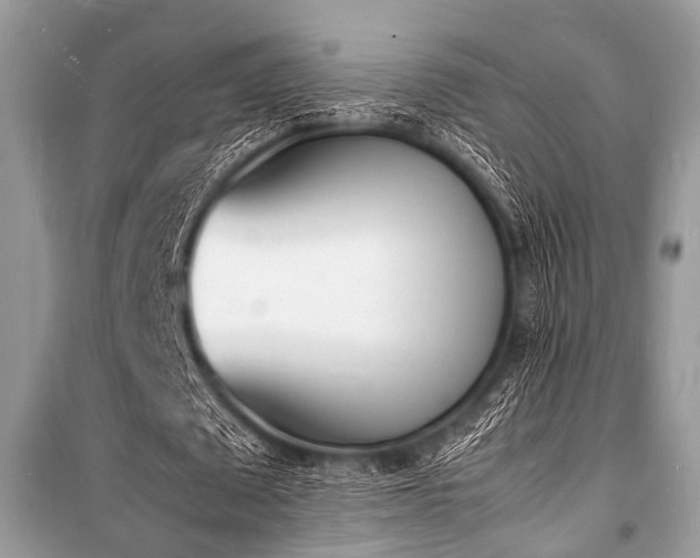 X0000100980673200806241543