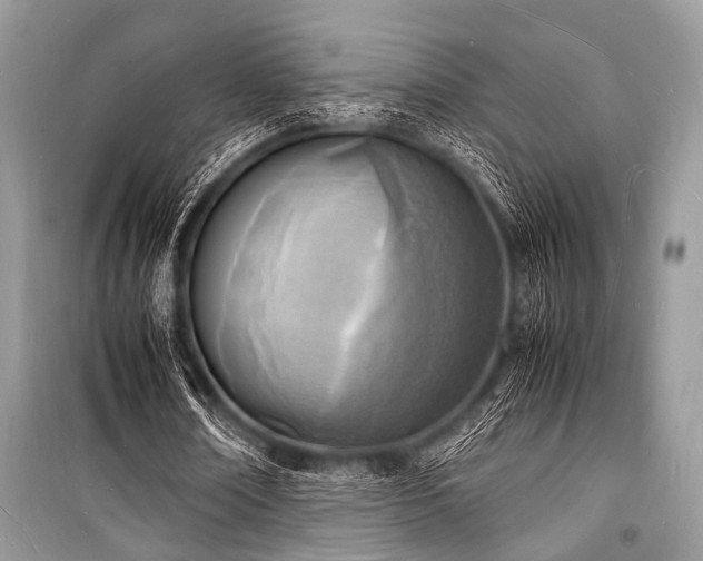 X0000100980674200806241543