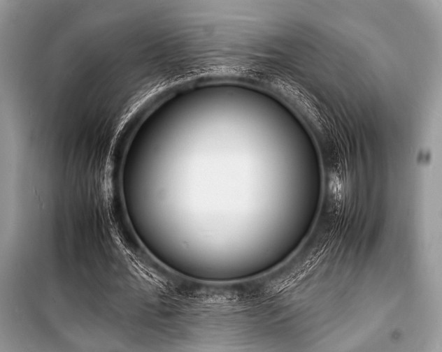 X0000100980676200806241543