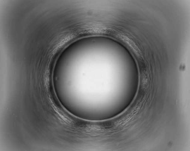 X0000100980677200806241543