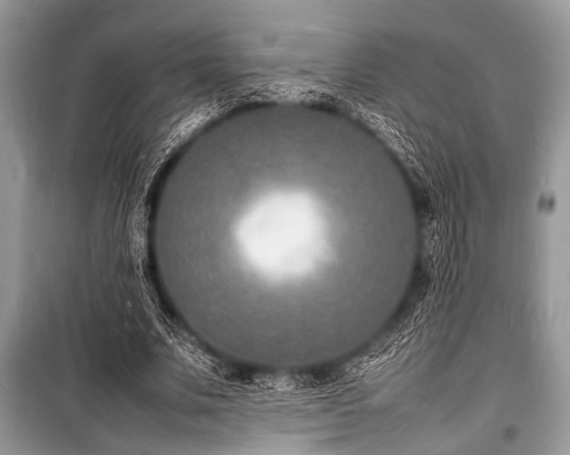 X0000100980679200806241543