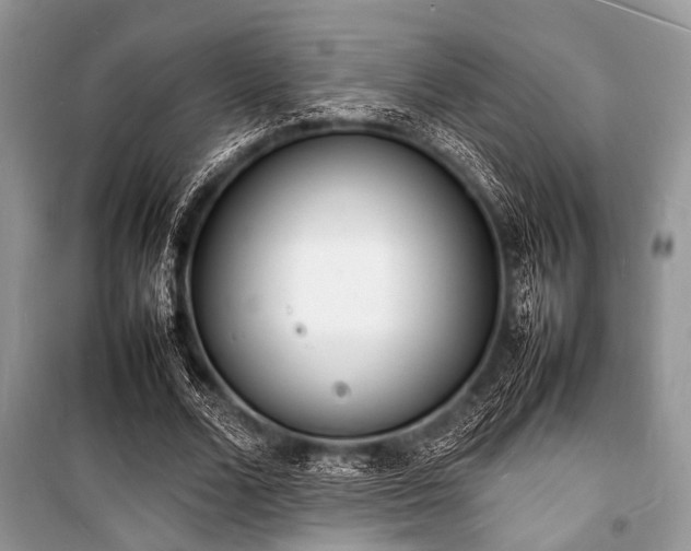 X0000100980680200806241543
