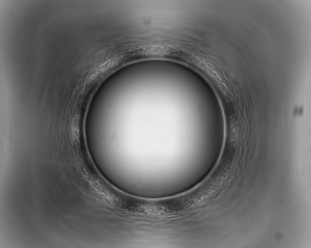 X0000100980681200806241543