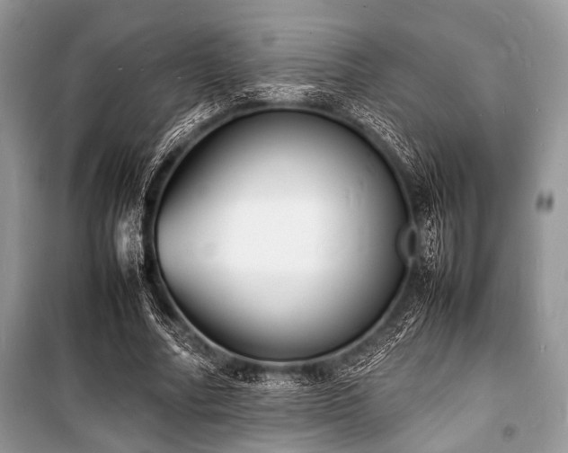 X0000100980682200806241543