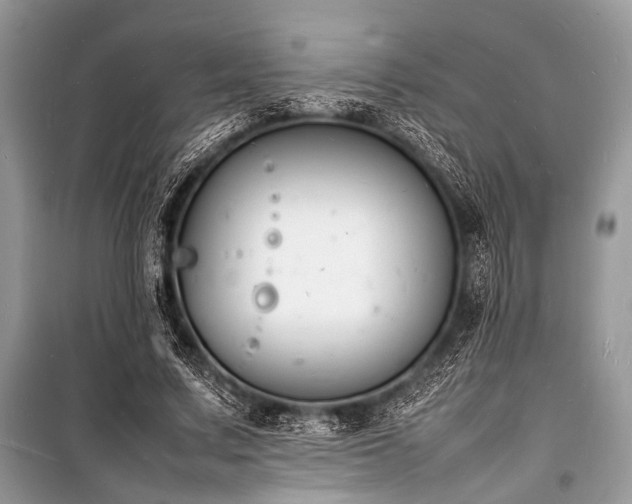 X0000100980683200806241543