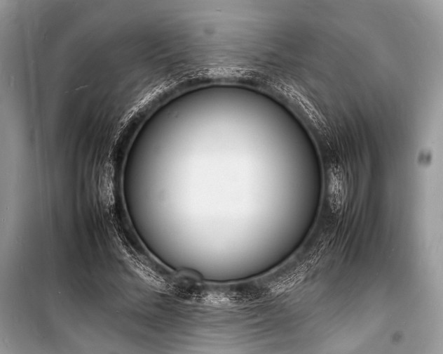X0000100980684200806241543