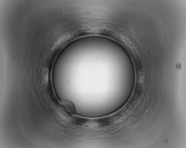 X0000100980685200806241543