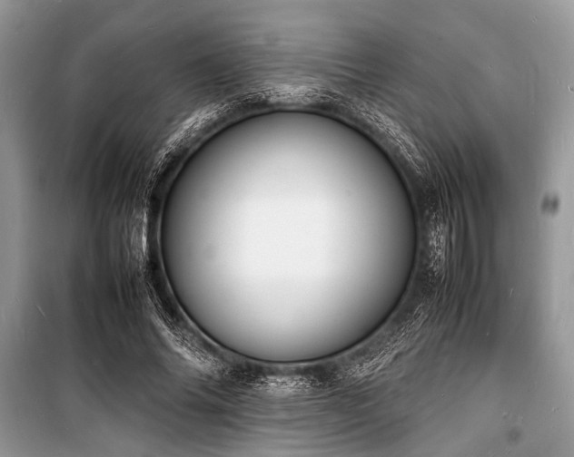 X0000100980686200806241543