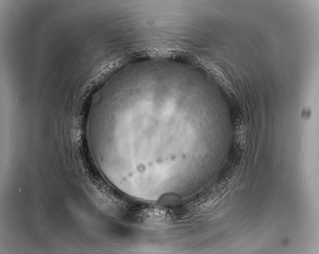 X0000100980687200806241543