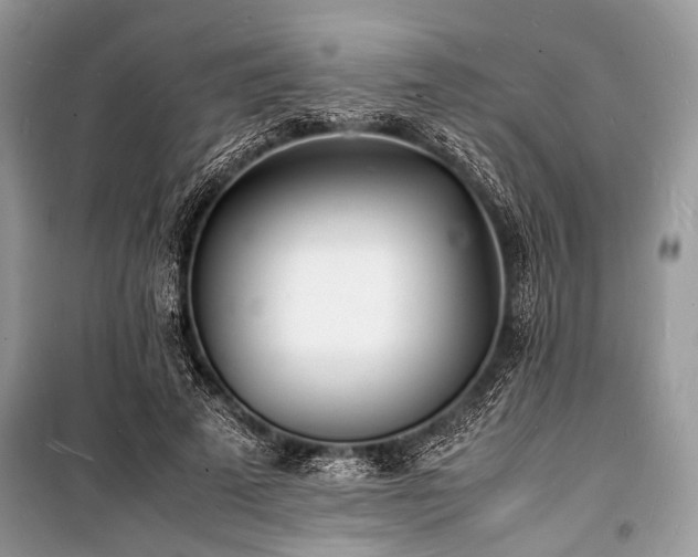 X0000100980689200806241543