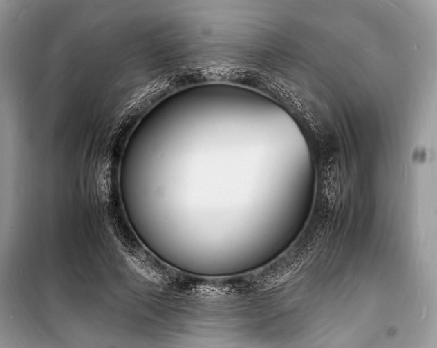 X0000100980690200806241543