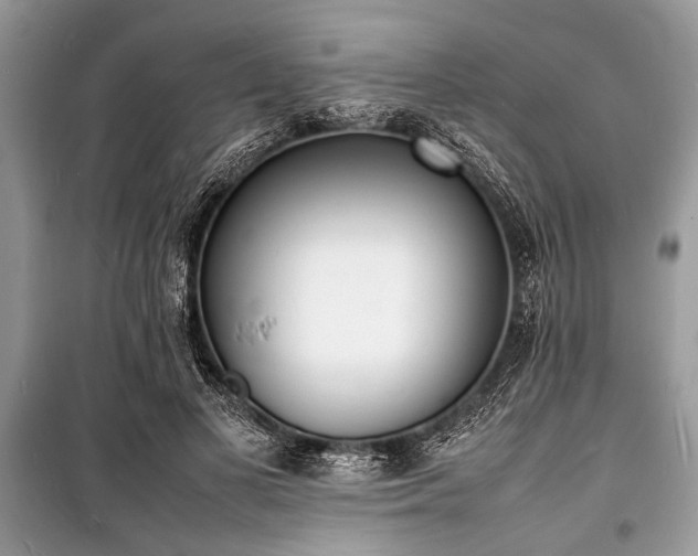 X0000100980693200806241543