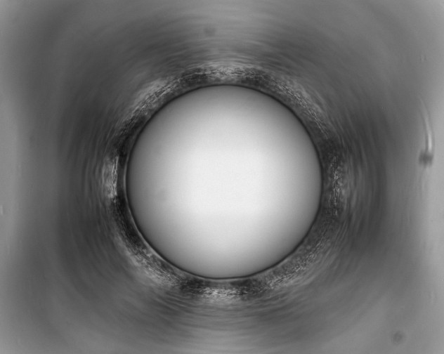 X0000100980694200806241543