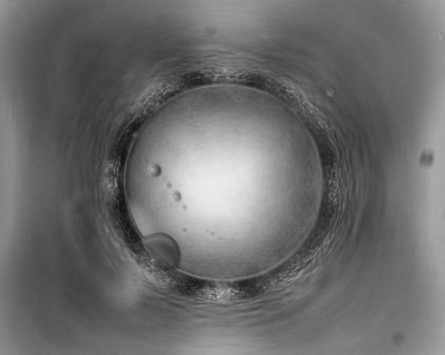 X0000100980695200806241543