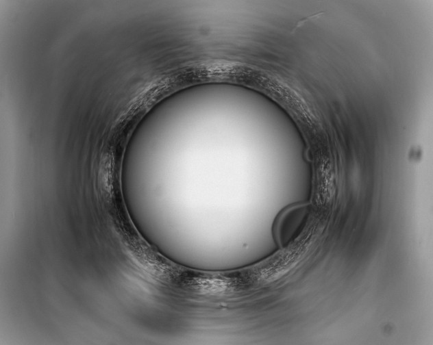 X0000100980698200806241543