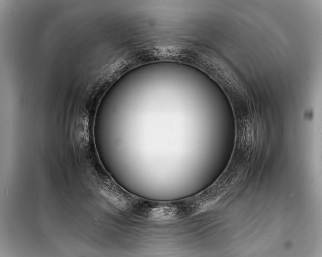 X0000100980700200806241543