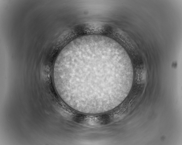 X0000100980701200806241543