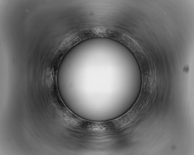 X0000100980702200806241543