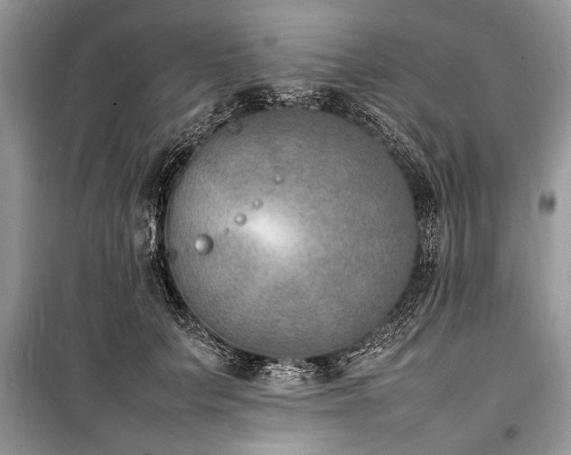 X0000100980703200806241543