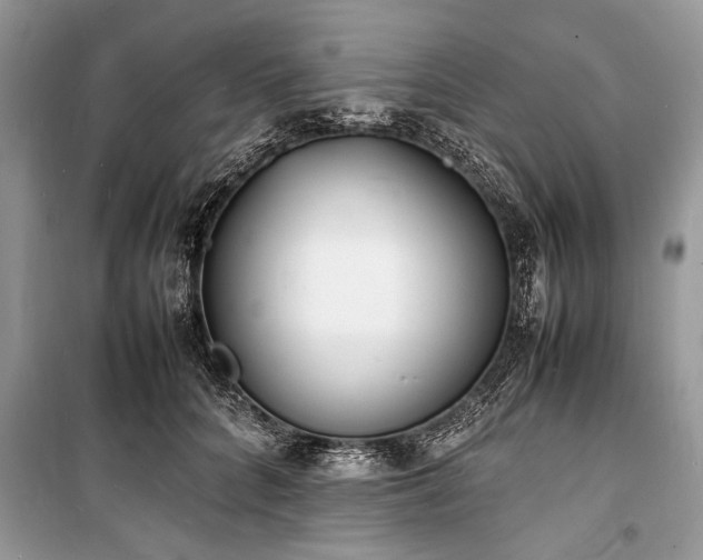 X0000100980704200806241543