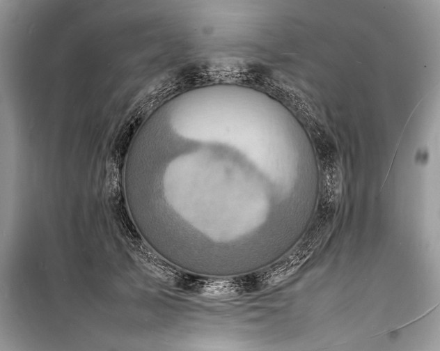 X0000100980705200806241543