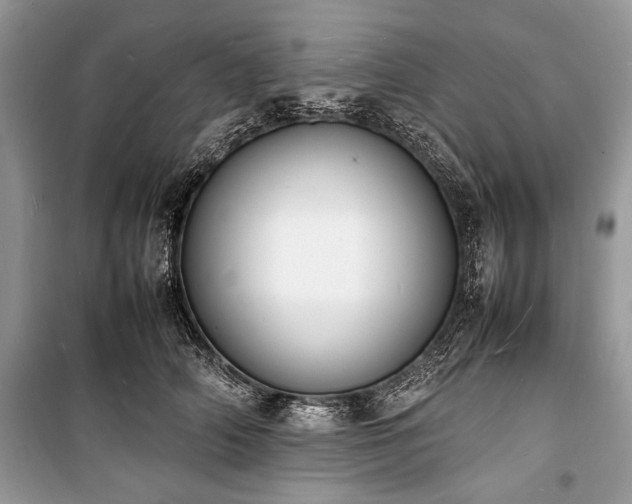 X0000100980706200806241543