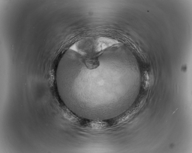 X0000100980707200806241543
