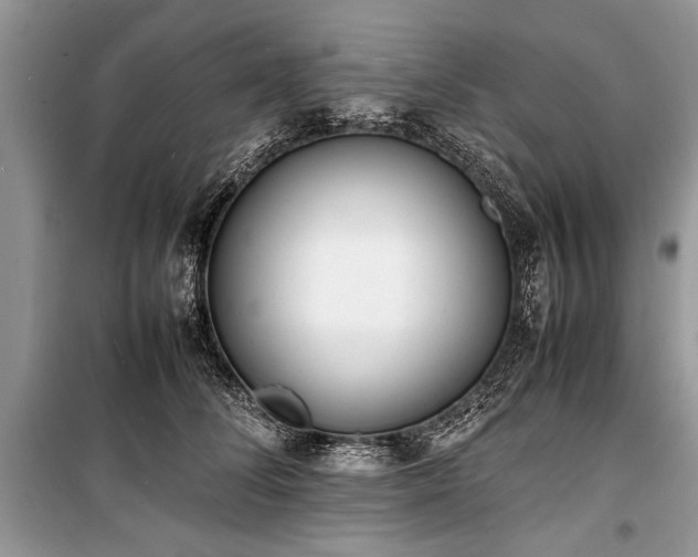 X0000100980708200806241543