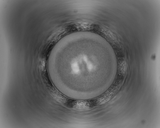 X0000100980709200806241543