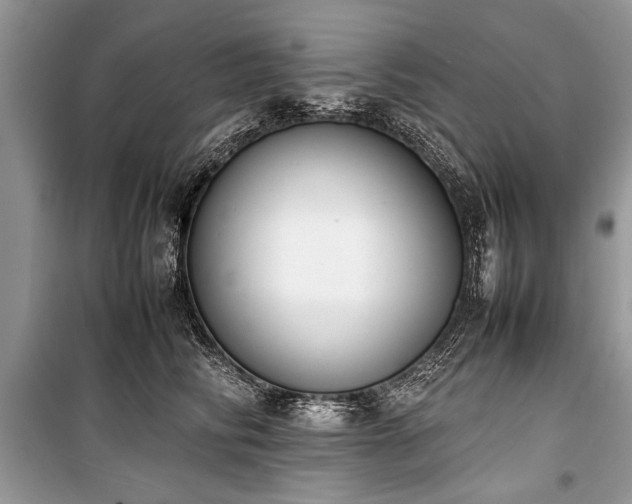 X0000100980710200806241543