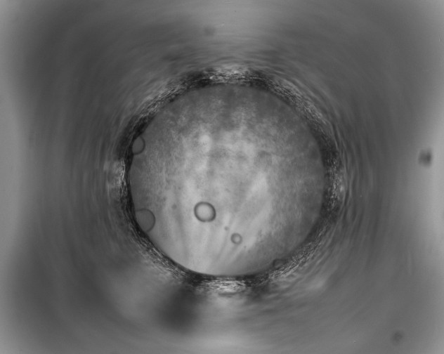 X0000100980711200806241543