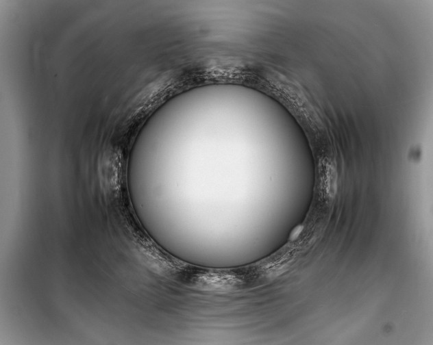 X0000100980712200806241543