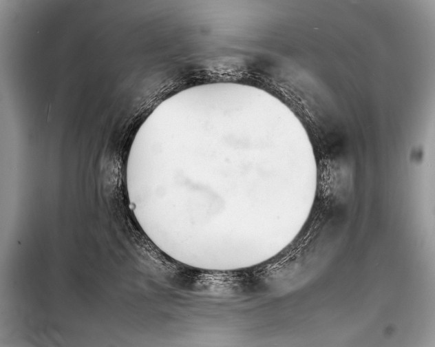X0000100980713200806241543