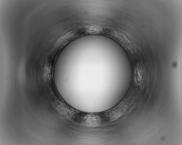 X0000100980714200806241543