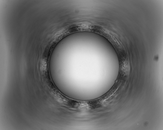 X0000100980715200806241543